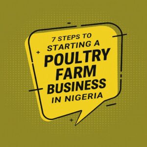 7 steps to starting a poultry farm business in Nigeria